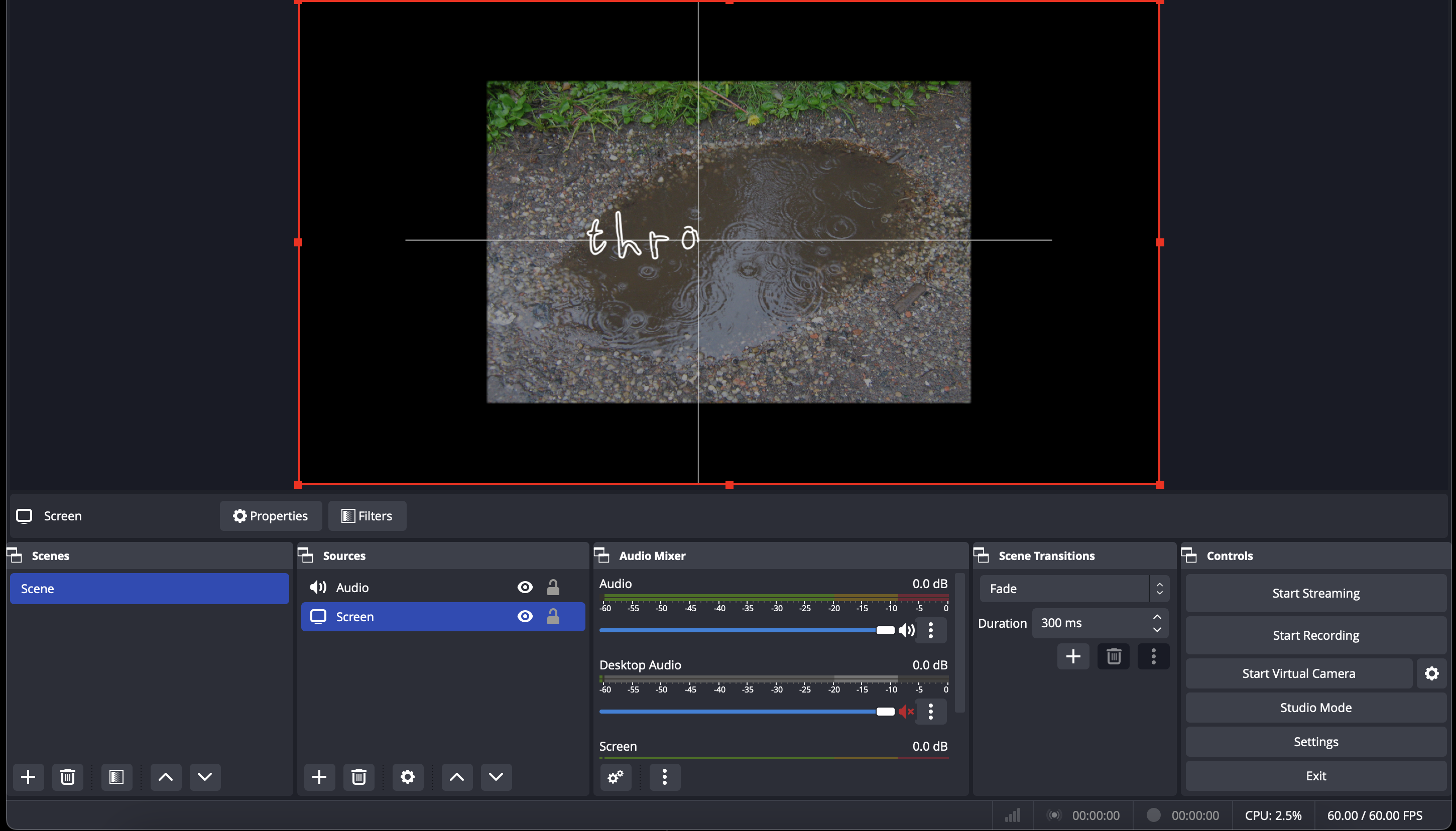 Screenshot of OBS setup